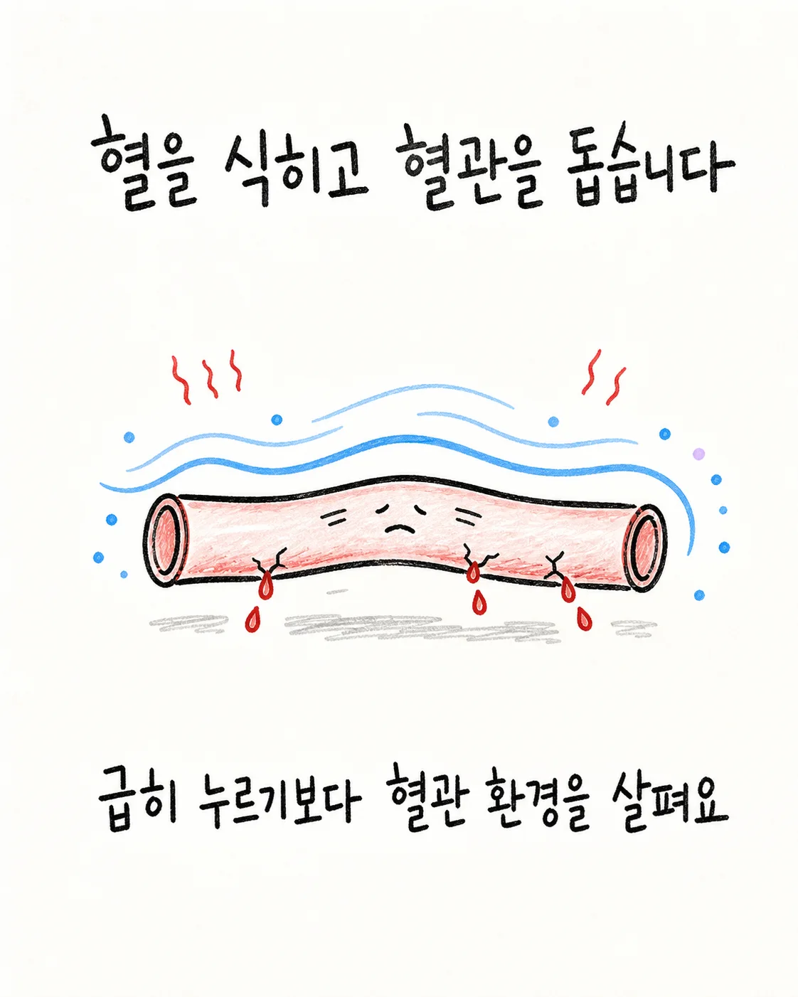 혈을 식히고 혈관 환경을 돕는 방향