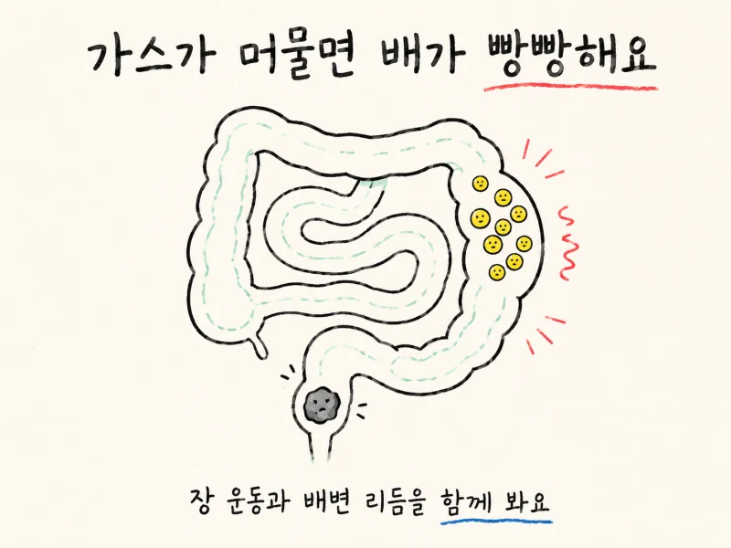 진료실에서 잦은 방귀와 복부 팽만으로 오신 분들은 이렇게 말씀하세요.