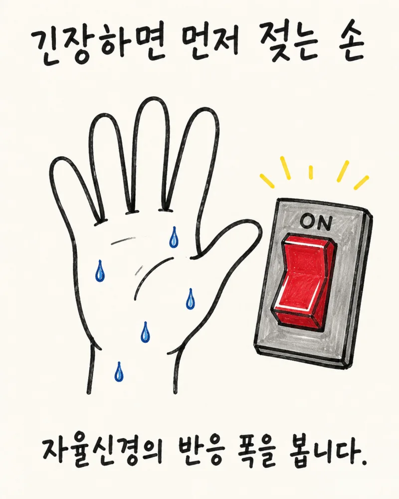 수족다한증·손발다한증 주요 증상