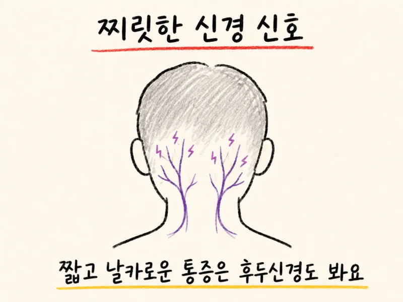 “뇌가 아니라 목 때문일 수 있다”는 말의 의미