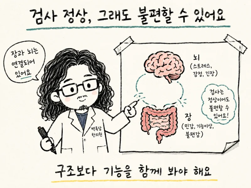 진료실에서 이런 말씀을 자주 들어요.