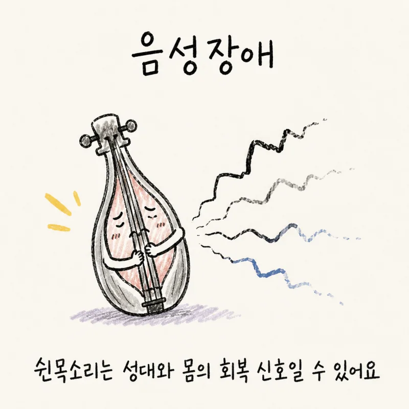 음성장애 · 쉰목소리 · 성대결절 · 실음(失音)