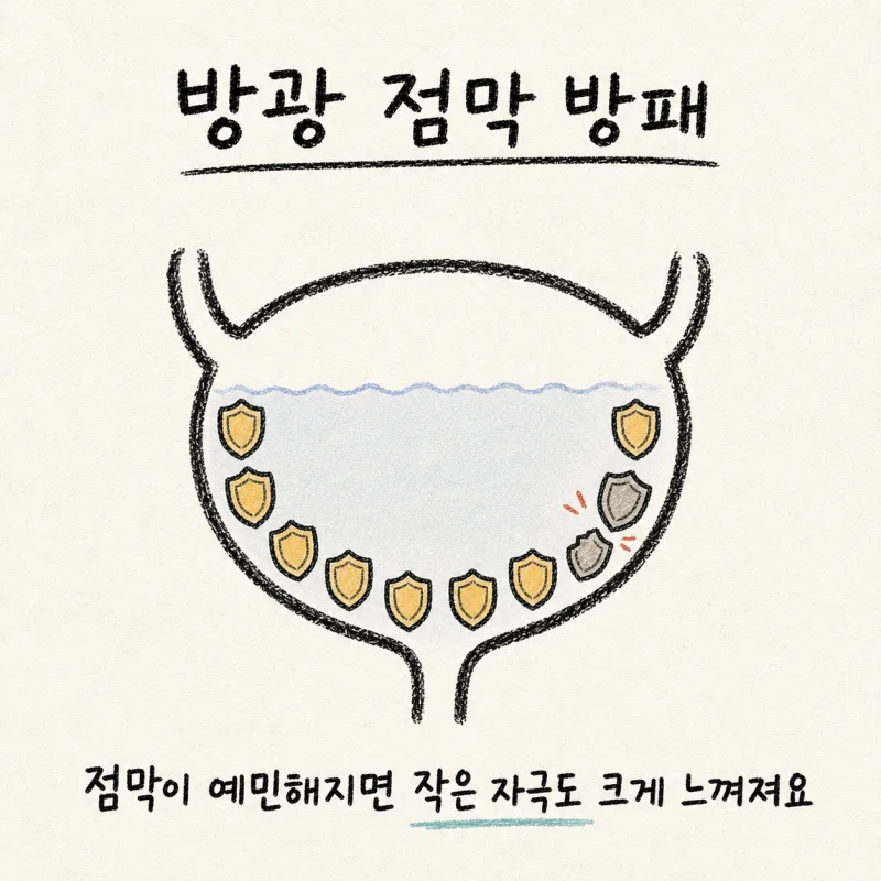 “위생을 잘못해서 생긴 걸까요?”라는 오해부터 풀어야 해요