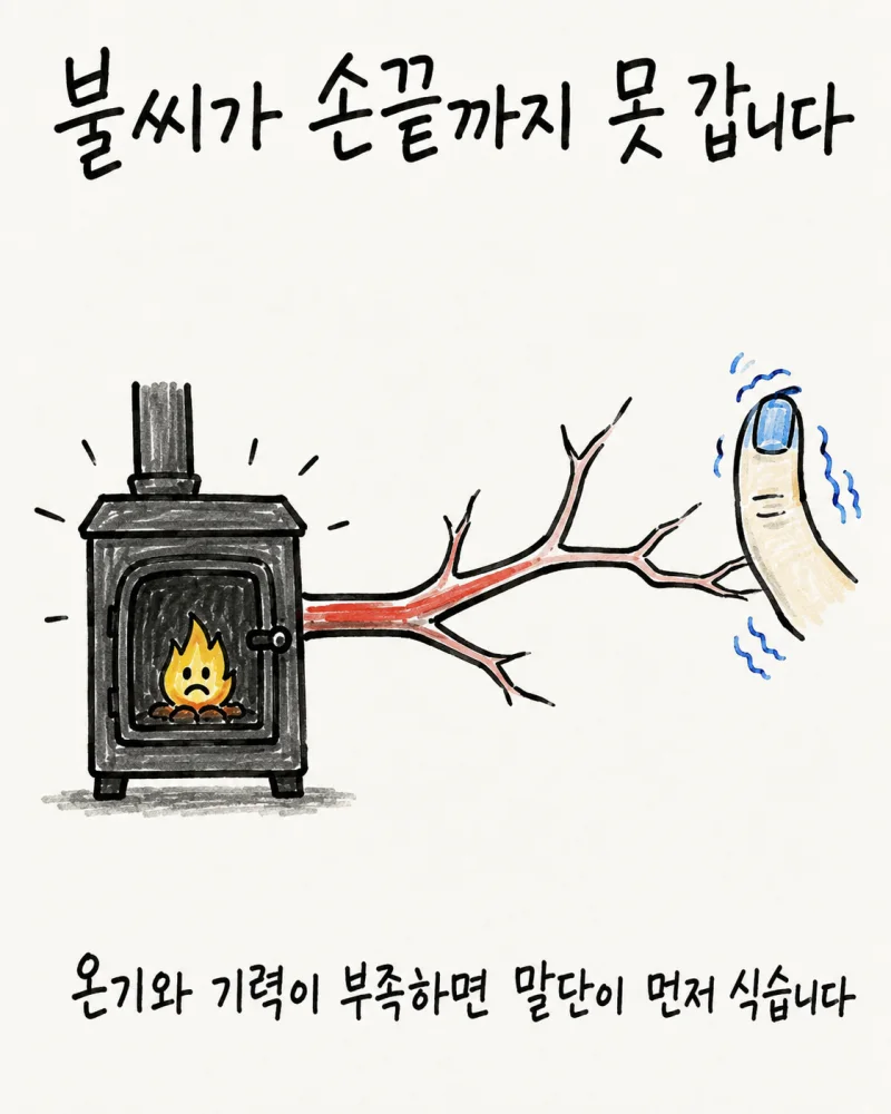 만성 레이노증후군, 백록담의 접근
