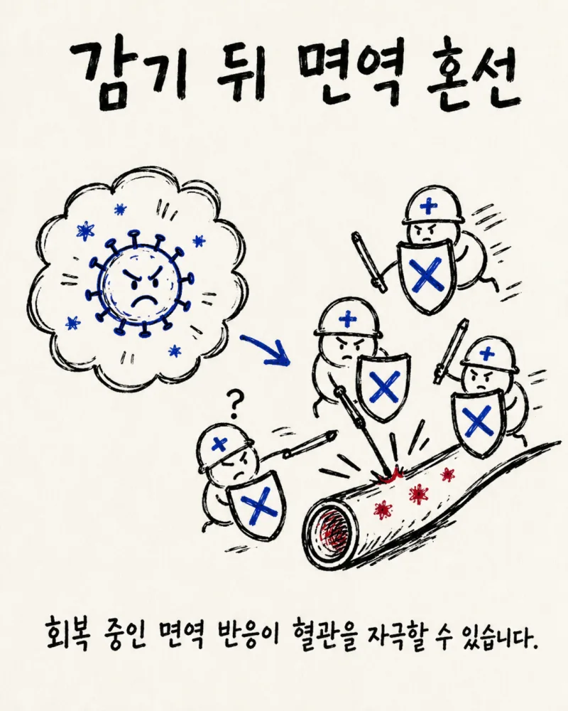 자반증의 주요 원인