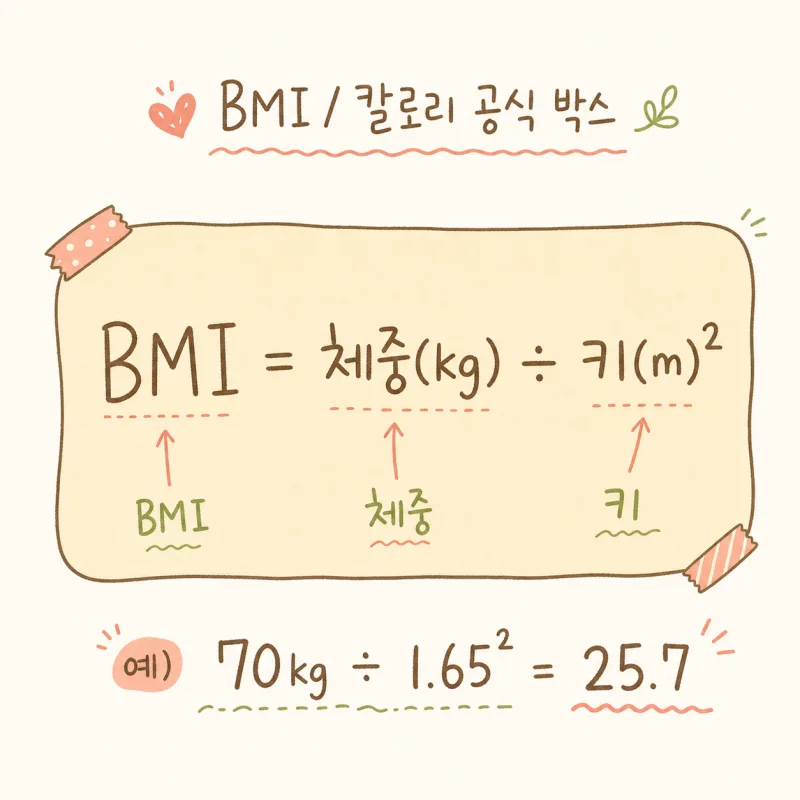 비만도 계산 — BMI 공식·정상 범위·보완 지표